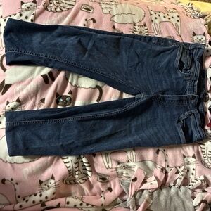 Buffalo David blue jeans men’s 32 waist